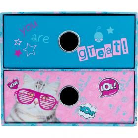 ორგანაიზერები