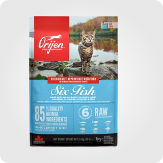ორიჟენი კნუტი და ზრდასრული კატა Six Fish 5.4 კგ (დაიშალა 1კგ)