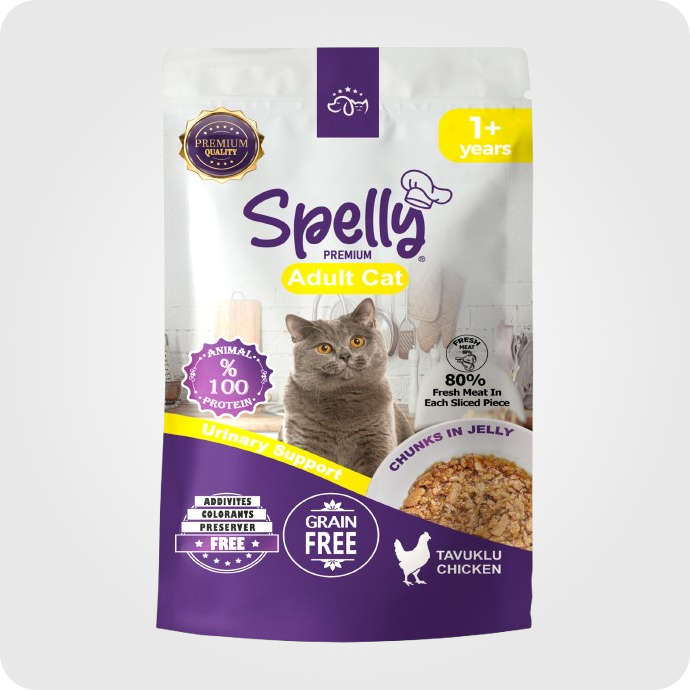 სველი საკვები კატის