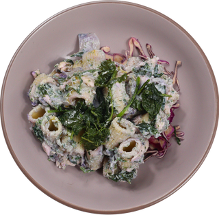 Erbert Pasta Pasticciata con Formaggio e Cavolo Viola 250g