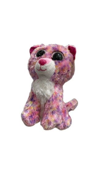 Sophie the cat