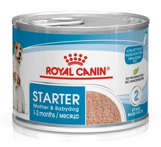 Royal Canin Starter Mother & Babydog mousse 195g