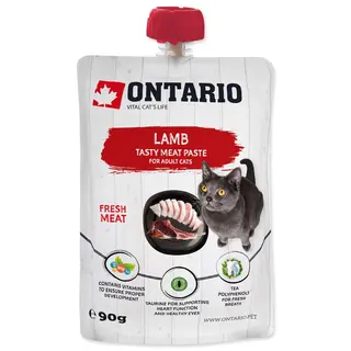 ONTARIO Miel Cat Food, 90g