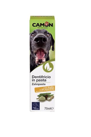 Dentifrice 70ml Camon