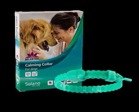 ძაღლის საყელოები და საბელები