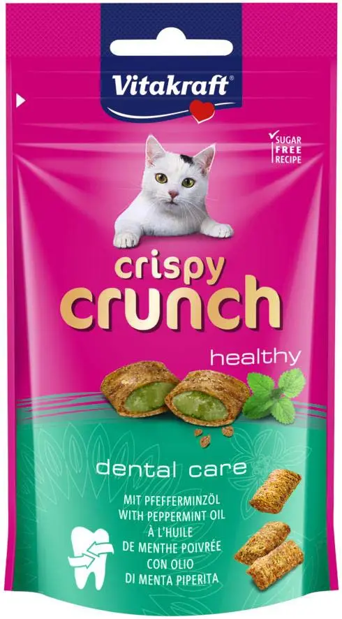 Snacks e Recompensas Gato