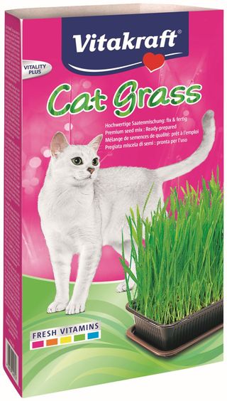 Vitakraft Cat Grass Hierba Gatera 120g