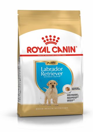 Royal Canin Puppy Labrador Retriever ração para cães - 12KG