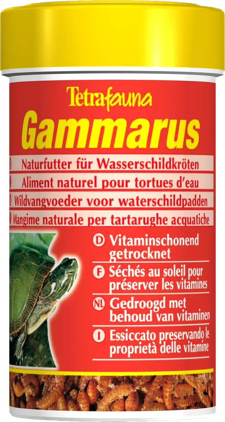 Alimentação Répteis