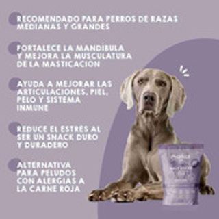 Snacks naturales para perros - Nervios de toro deshidratados