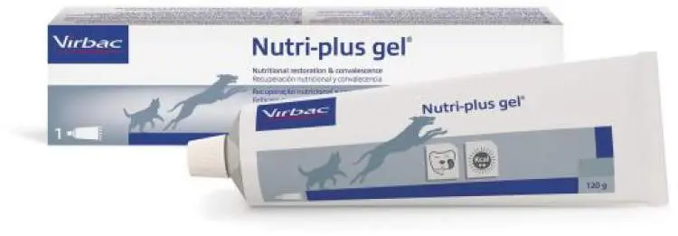 Alimentação e Suplementação