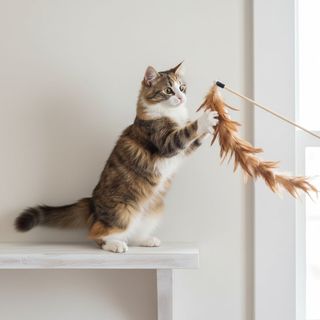 Tootoy ! Pantalones interactivos