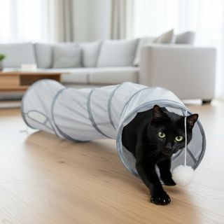 Tootoy ! Tunel de gato interactivo