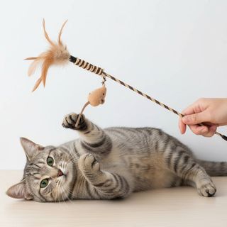 Tootoy ! Gato interactivo con ratón