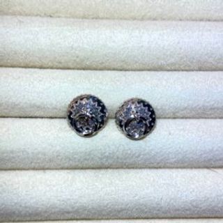 Srebrene zvekir naušnice na šaraf