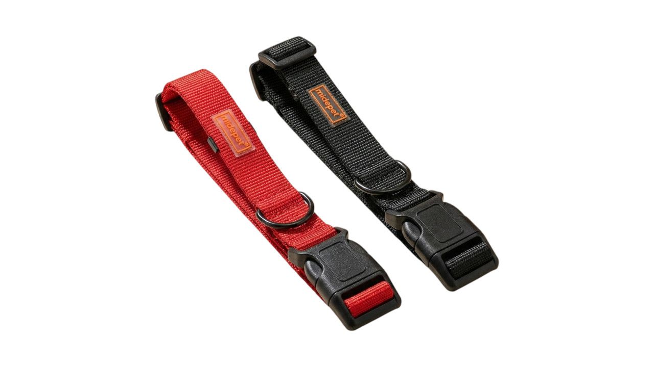 ძაღლის საყელოები და საბელები