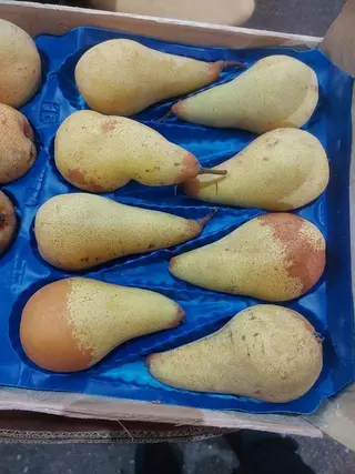 Kruška