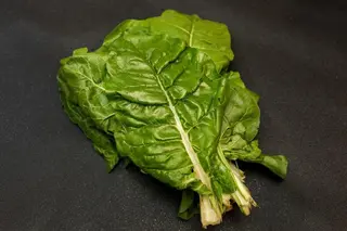 Blitva