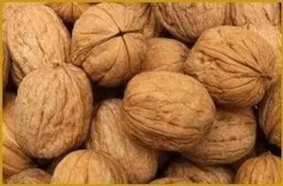 Orasi