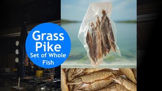Grass Pike | Set of Whole Fish