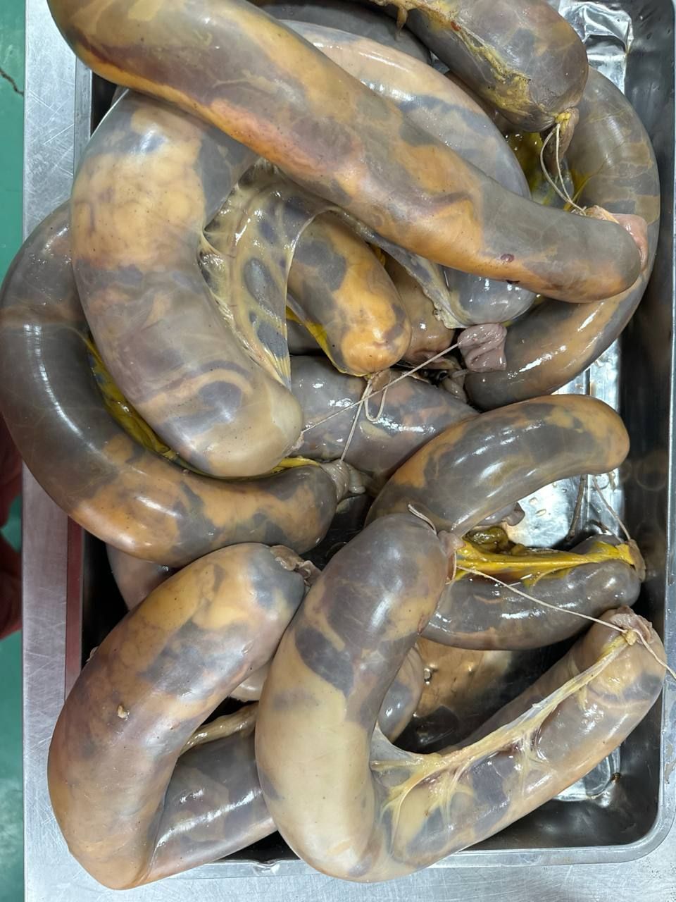 Конина и оленина.