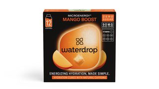MANGO BOOST (12 kocki)