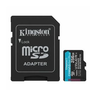 Scheda di Memoria Kingston 256GB microSDXC SDCG4/256GB Adattatore Nero