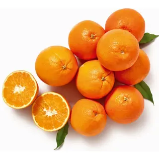 Laranja Citrinos do Algarve - IGP IGP Algarve IGP Algarve (emb. 2 kg)
