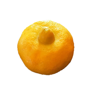 Citron beldi 1Kg