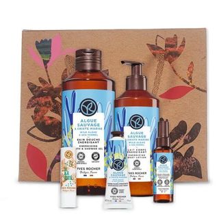 Wild Algae and Sea Funnel Set of five