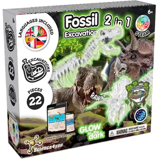 Kit de Excavación de Fósiles de Dinosaurio-80004994