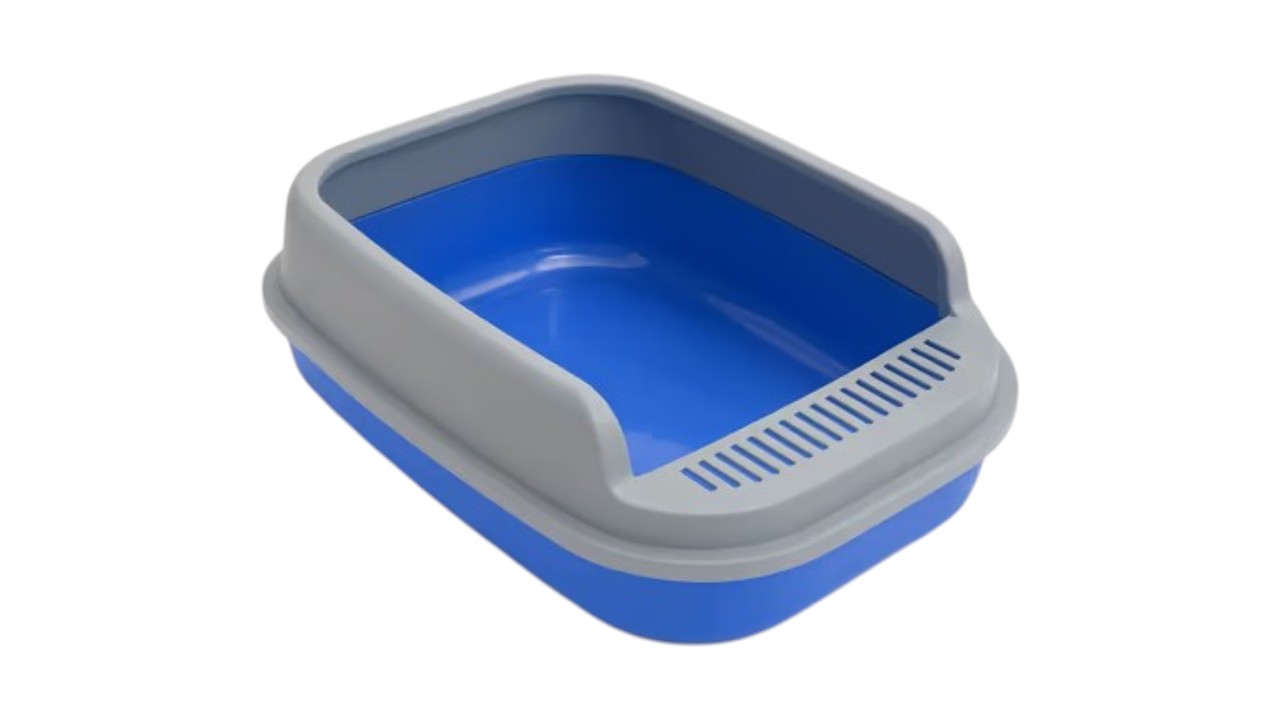 კატის ჰიგიენა