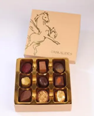 Boite Pégase