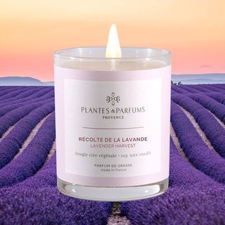 Bougie parfumée à la lavande 80x60cm