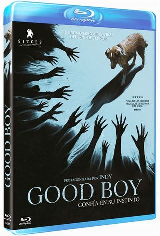 Good Boy - Blu-ray
