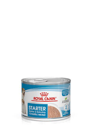 Royal Canin Starter Mother & Babydog mousse 195g