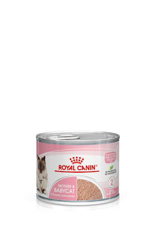 Royal Canin Gato Júnior e Mãe Ultra Soft Lata 195gr