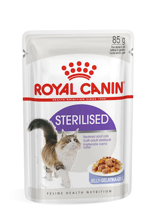 Comida Húmida Gatinho