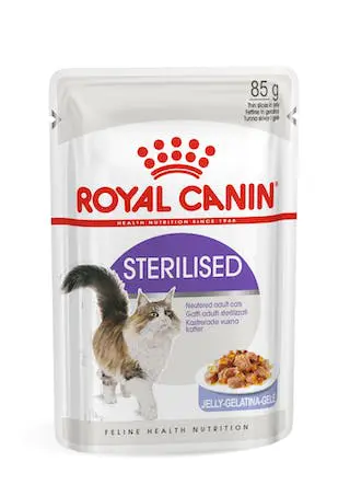 Comida Húmida Gatinho