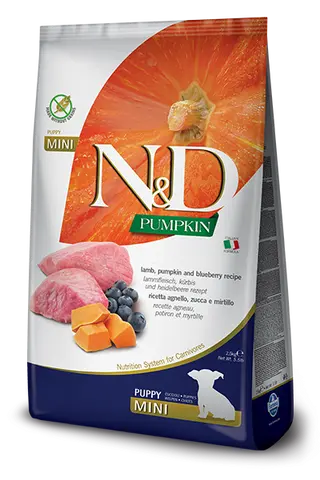 "N&D Pumpkin Puppy Lamb&Blueberry Mini 2,5kg"
