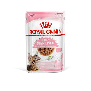 Comida Húmida Gatinho