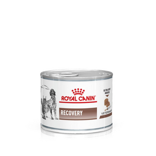Royal Canin Recuperación Dog Food, 195g