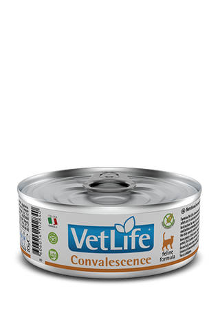 "VET LIFE ND Cat Convalescence 85g"