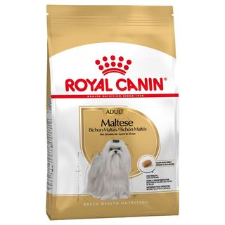 Royal Canin Adult Bichón Maltês croquettes pour chiens - 1.5KG