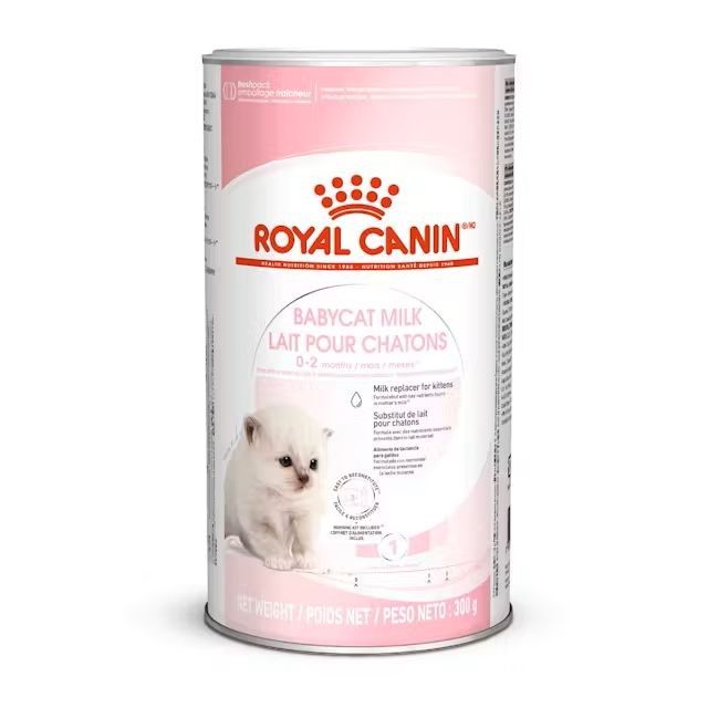 Laits et Alimentaion Chats