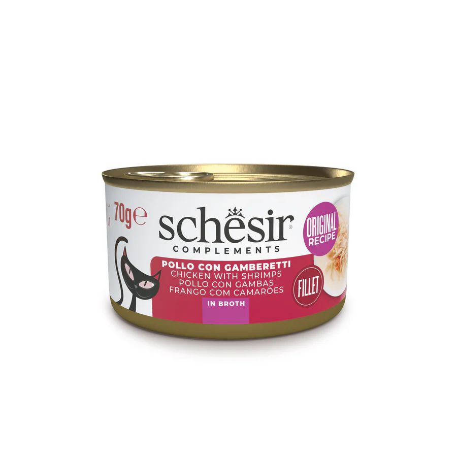 Schesir