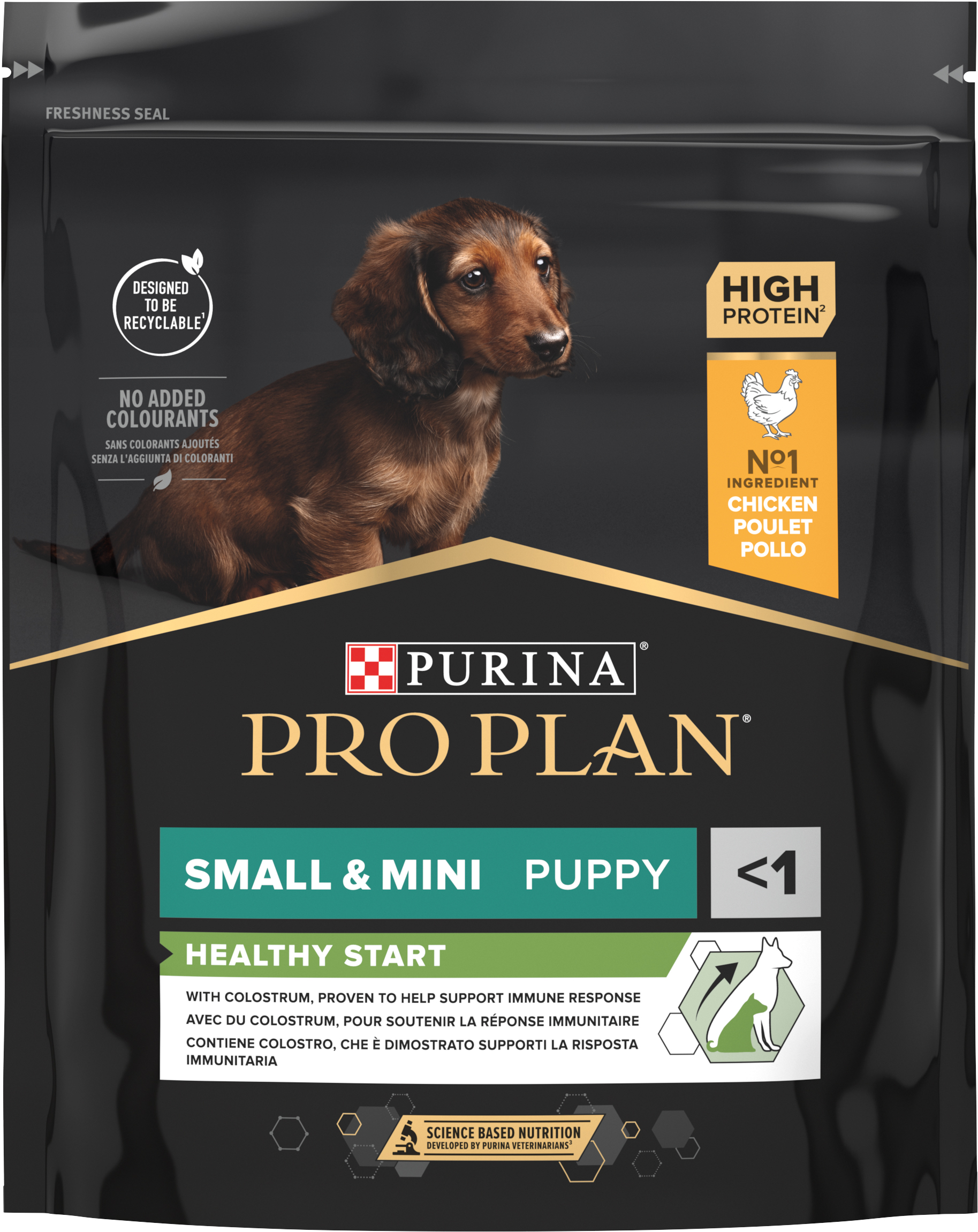 Pro Plan