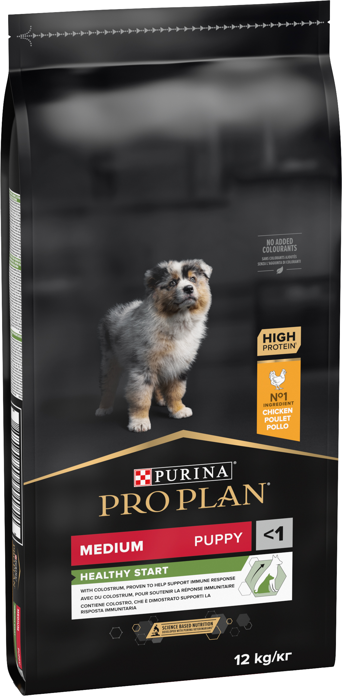 Pro Plan