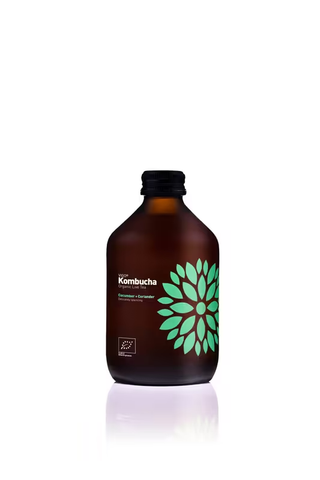 VIGO Kombucha Krastavac + Korijander