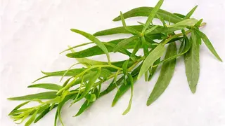 ტარხუნა